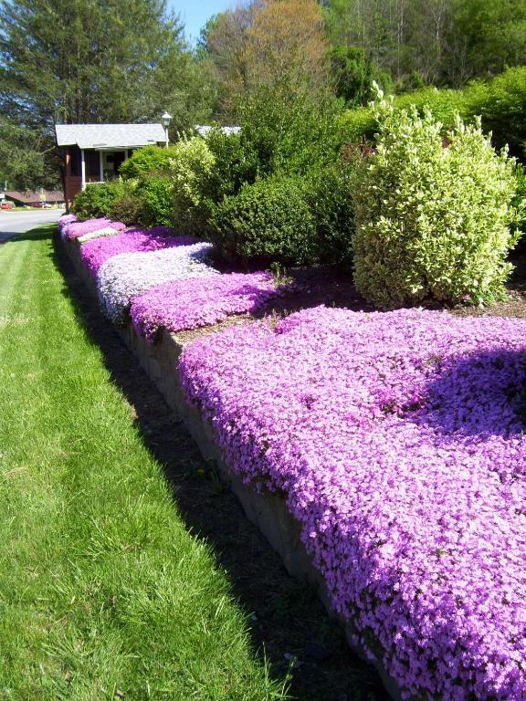 Parkway Inn Waynesville Zewnętrze zdjęcie